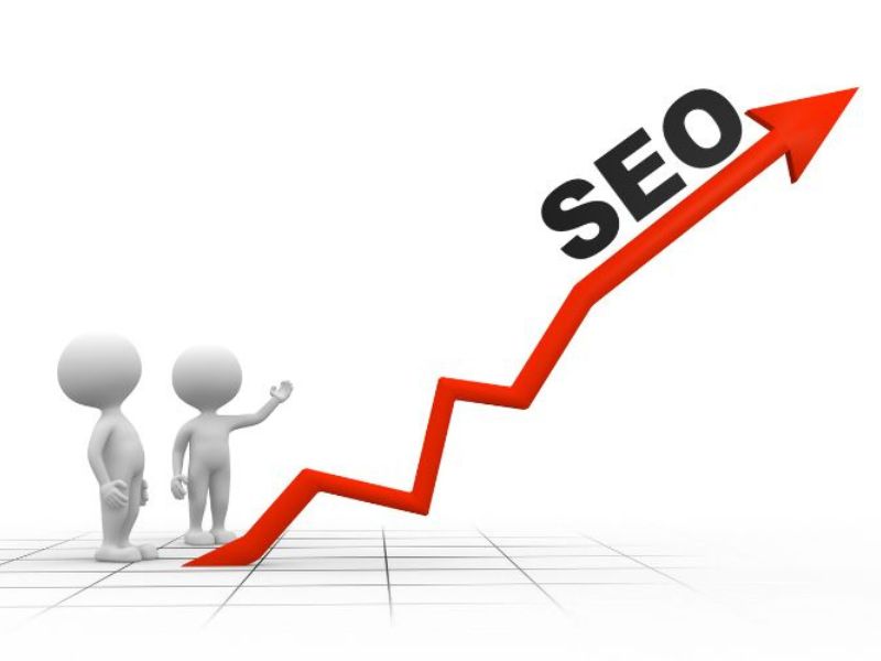 organic seo expert in bd