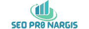 seo pro nargis