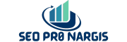 seo pro nargis